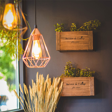Bullfrog-power-difference-hassle-free Interior photo of decorative electric light fixtures and plants next to a sunny window