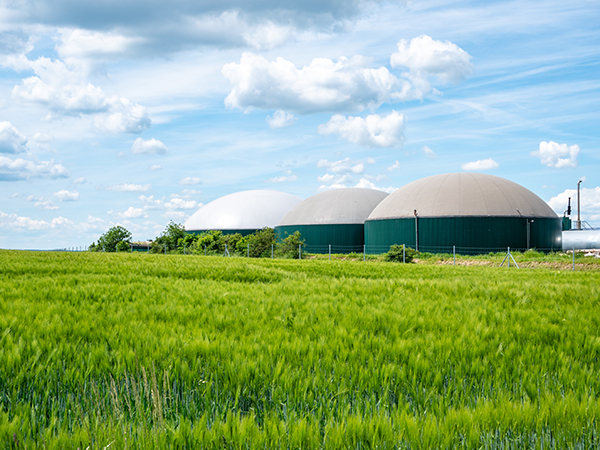 GNG biogas plant GNG biogas plant