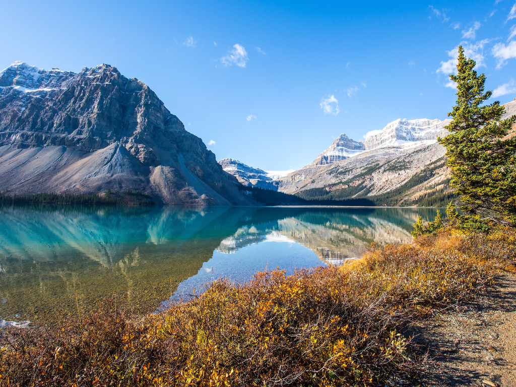 Alberta landscape