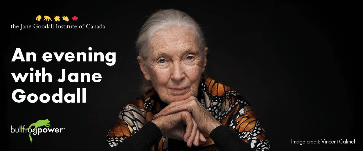 Hubspot email banner Win a Ticket to An Evening with Jane Goodall banner image