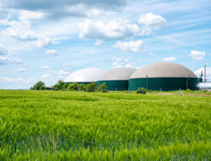 Feature green natural gas biogas