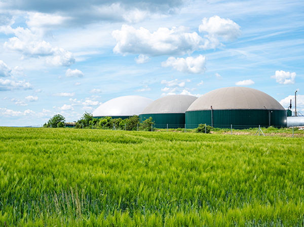 Feature green natural gas biogas