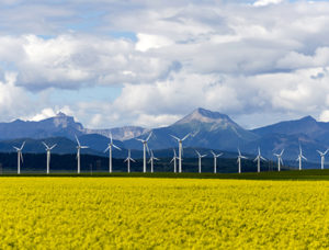 Feature leadership Wind Turbine Renewable Energy