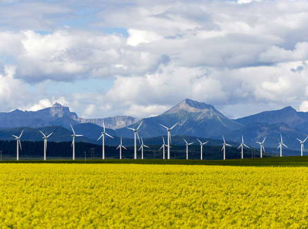 Feature leadership Wind Turbine Renewable Energy