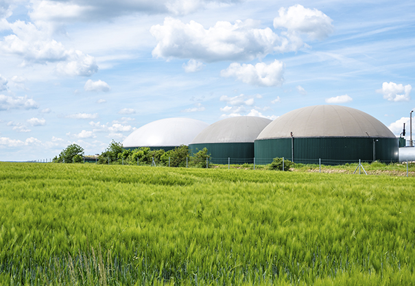 Image of a biogas digester in a green field