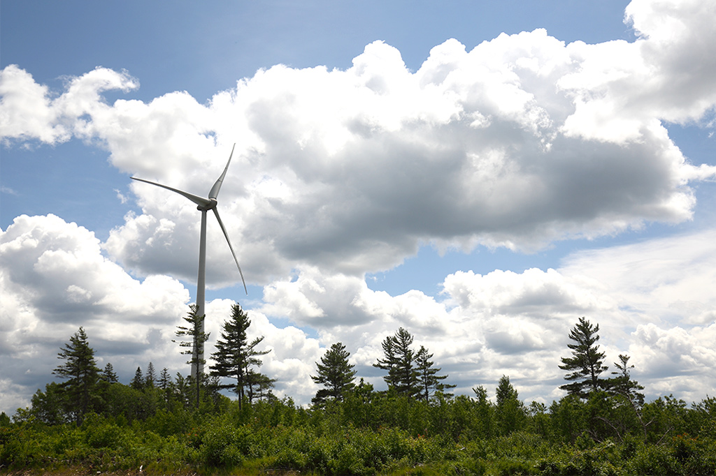 Single wind turbine and a row of pine trees against a cloudy blue sky.