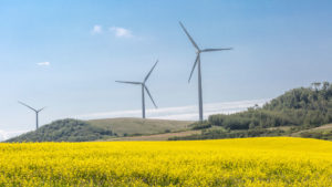 REC turbines yellow field