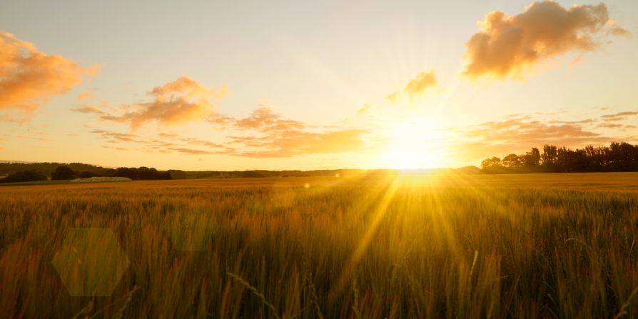 The sun rises over a field on solar appreciation day