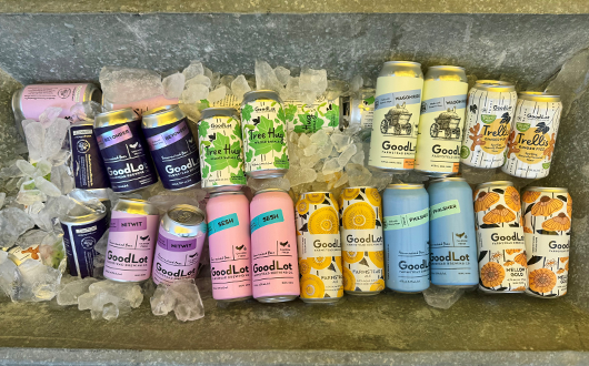 Goodlot-beers---530x330 GoodLot's assortment of sparkling water and beers made with organic Ontario hops.