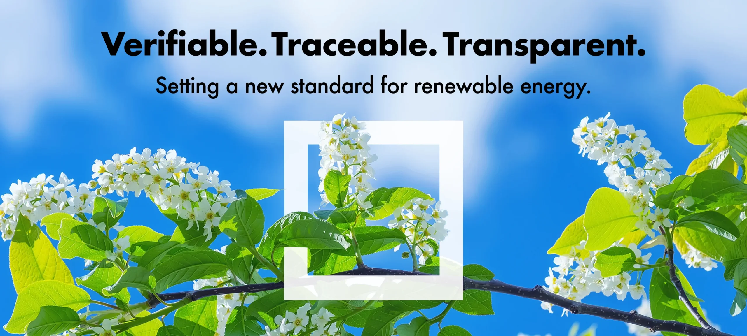 environmental-tokens-hero