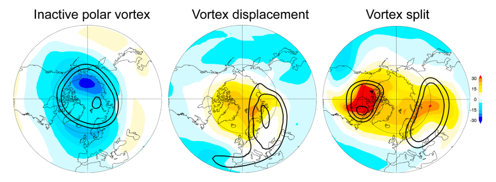 Polar vortex stages on globes