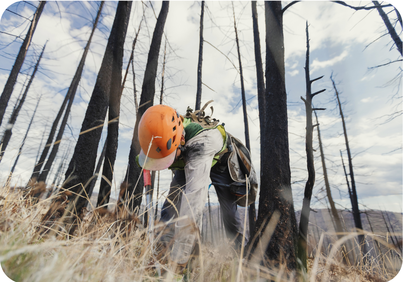 BC Wildfire 2 (4)