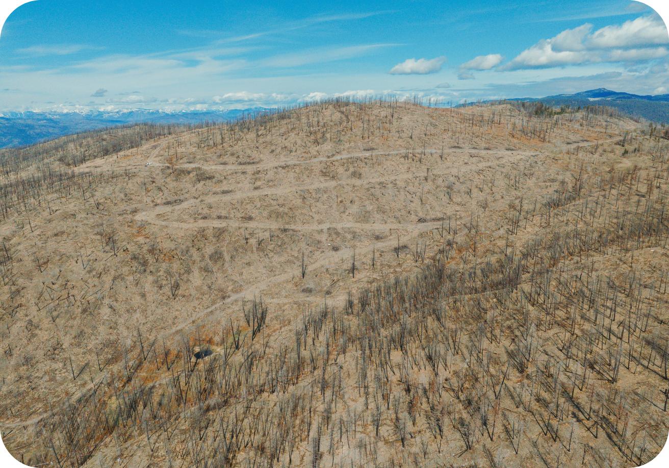 BC Wildfire 2