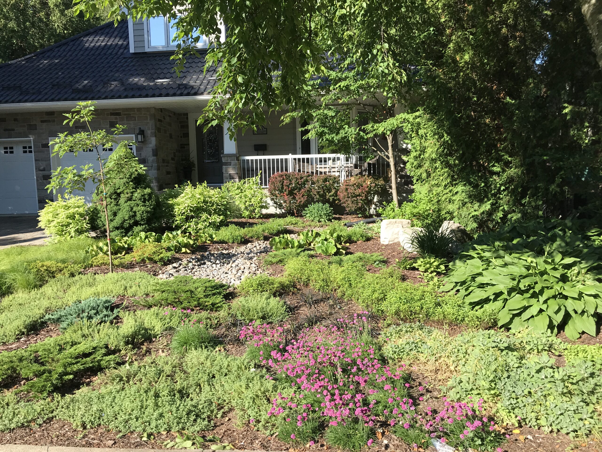 Groundcover quilt garden.