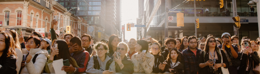 TIFF 2026 attendees