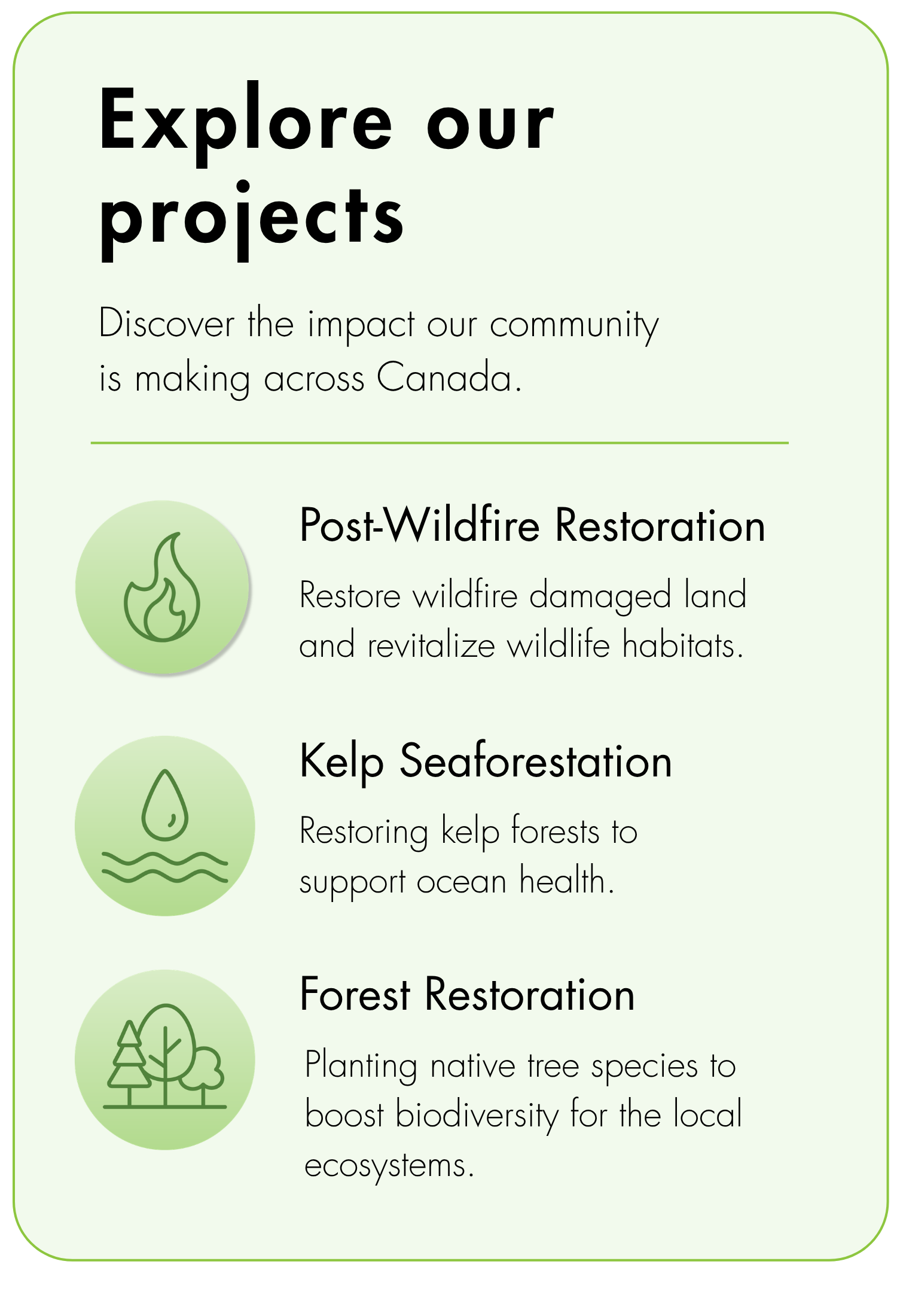 EXPLORE OUR PROJECTS (12)