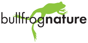 bullfrognature (5)
