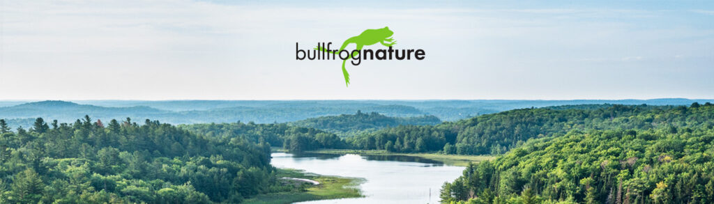 Introducing Bullfrog Nature