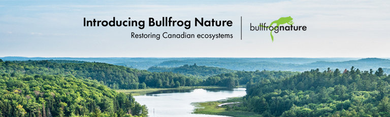 Introducing Bullfrog Nature